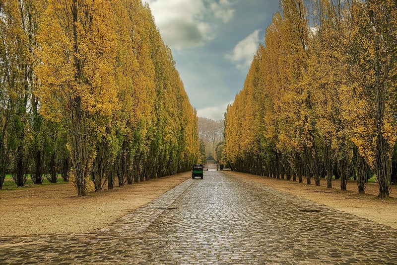Gardens of Versailles, France